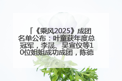 《乘风2025》成团名单公布：叶童获年度总冠军，李晟、吴宣仪等10位姐姐成功成团，陈德容获年度高光人物