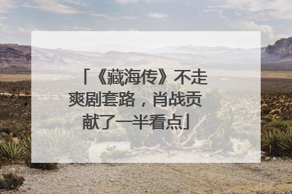 《藏海传》不走爽剧套路，肖战贡献了一半看点