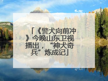 《警犬向前冲》今晚山东卫视播出，“神犬奇兵”炼成记