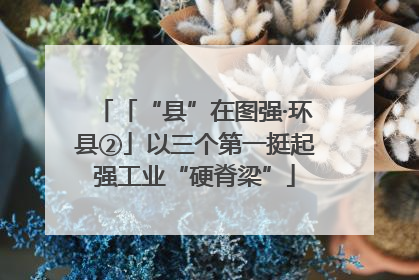 「“县”在图强·环县②」以三个第一挺起强工业“硬脊梁”