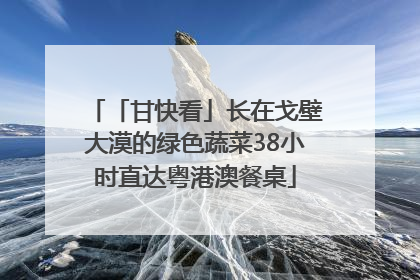 「甘快看」长在戈壁大漠的绿色蔬菜38小时直达粤港澳餐桌