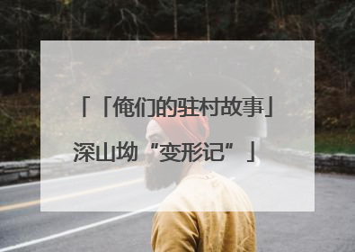 「俺们的驻村故事」深山坳“变形记”