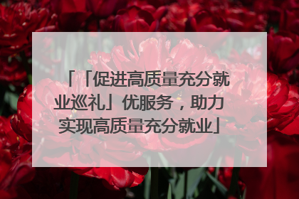 「促进高质量充分就业巡礼」优服务，助力实现高质量充分就业