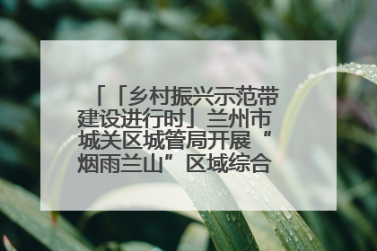 「乡村振兴示范带建设进行时」兰州市城关区城管局开展“烟雨兰山”区域综合整治专项行动