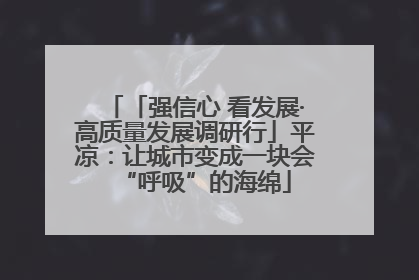 「强信心 看发展·高质量发展调研行」平凉：让城市变成一块会“呼吸”的海绵