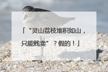 “灵山荔枝堆积如山，只能贱卖”？假的！