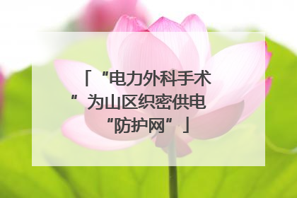 “电力外科手术”为山区织密供电“防护网”