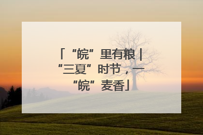 “皖”里有粮｜“三夏”时节，一“皖”麦香