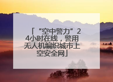 “空中警力”24小时在线，警用无人机编织城市上空安全网