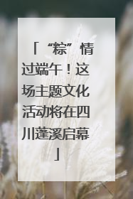 “粽”情过端午！这场主题文化活动将在四川蓬溪启幕