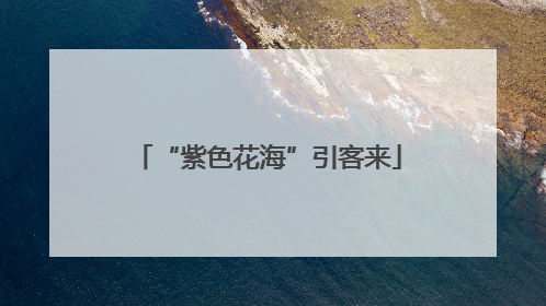 “紫色花海”引客来