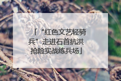 “红色文艺轻骑兵”走进石首抗洪抢险实战练兵场