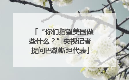 “你们指望美国做些什么？”央视记者提问巴勒斯坦代表