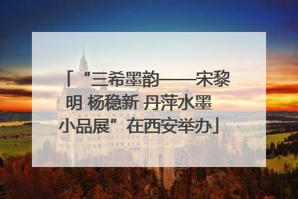 “三希墨韵——宋黎明 杨稳新 丹萍水墨小品展”在西安举办