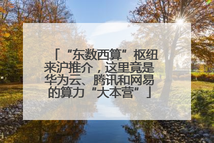 “东数西算”枢纽来沪推介，这里竟是华为云、腾讯和网易的算力“大本营”