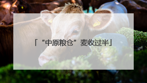 “中原粮仓”麦收过半