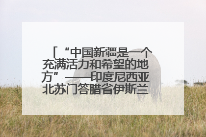 “中国新疆是一个充满活力和希望的地方”——印度尼西亚北苏门答腊省伊斯兰教代表团参访新疆