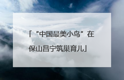 “中国最美小鸟”在保山昌宁筑巢育儿