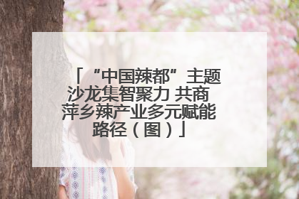 “中国辣都”主题沙龙集智聚力 共商萍乡辣产业多元赋能路径（图）