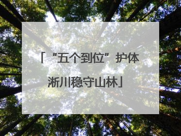 “五个到位”护体 淅川稳守山林