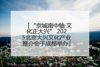“京城南中轴·文化正大兴” 2025北京大兴文化产业推介会于成都举办