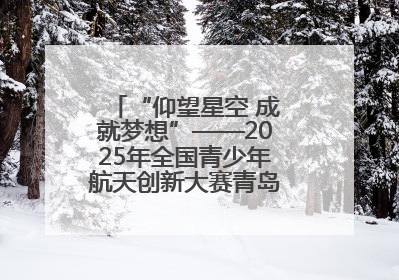 “仰望星空 成就梦想”——2025年全国青少年航天创新大赛青岛选拔赛成功举办
