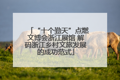 “十个勤天”点燃文博会浙江展馆 解码浙江乡村文旅发展的成功范式