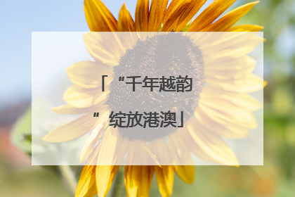 “千年越韵”绽放港澳