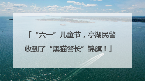 “六一”儿童节，亭湖民警收到了“黑猫警长”锦旗！