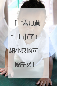 “六月黄”上市了！超小只的可按斤买