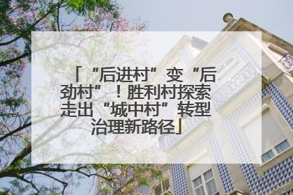 “后进村”变“后劲村”！胜利村探索走出“城中村”转型治理新路径