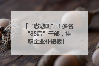 “嗷嗷叫”！多名“85后”干部，挂职企业补短板