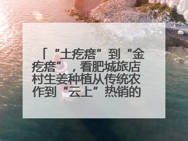 “土疙瘩”到“金疙瘩”，看肥城旅店村生姜种植从传统农作到“云上”热销的蝶变之路