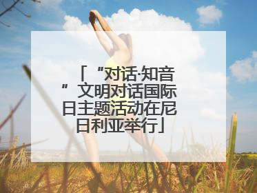 “对话·知音”文明对话国际日主题活动在尼日利亚举行