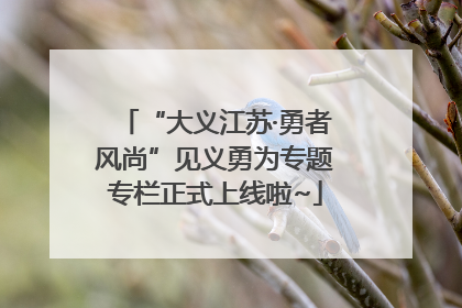 “大义江苏·勇者风尚”见义勇为专题专栏正式上线啦~