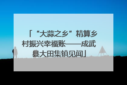 “大蒜之乡”精算乡村振兴幸福账——成武县大田集镇见闻