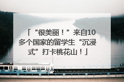 “很美丽！”来自10多个国家的留学生“沉浸式”打卡桃花山！