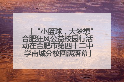“小篮球，大梦想”合肥狂风公益校园行活动在合肥市第四十二中学南城分校圆满落幕