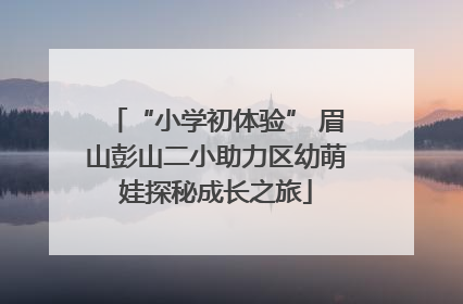 “小学初体验” 眉山彭山二小助力区幼萌娃探秘成长之旅