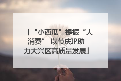 “小西瓜”提振“大消费” 以节庆IP助力大兴区高质量发展