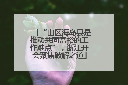 “山区海岛县是推动共同富裕的工作难点”，浙江开会聚焦破解之道