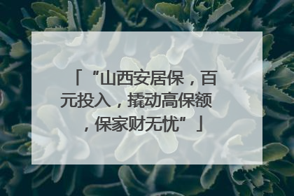 “山西安居保，百元投入，撬动高保额，保家财无忧”