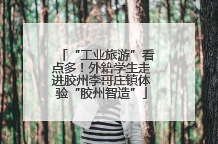 “工业旅游”看点多！外籍学生走进胶州李哥庄镇体验“胶州智造”