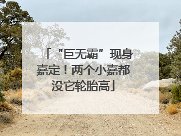 “巨无霸”现身嘉定！两个小嘉都没它轮胎高