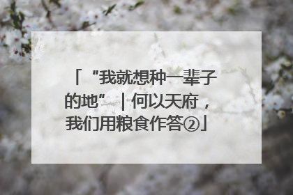 “我就想种一辈子的地”｜何以天府，我们用粮食作答②