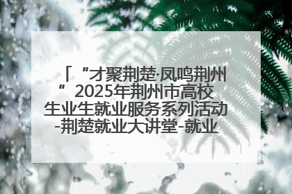 “才聚荆楚·凤鸣荆州”2025年荆州市高校生业生就业服务系列活动-荆楚就业大讲堂-就业嘉年华活动举行