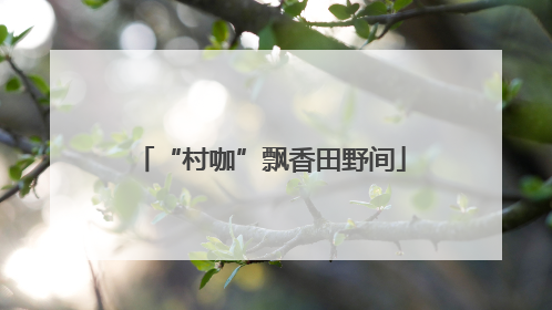 “村咖”飘香田野间