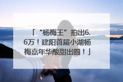 “杨梅王”拍出6.6万！建阳首届小湖杨梅嘉年华酸甜出圈！