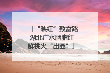 “映红”致富路 湖北广水胭脂红鲜桃火“出圈”