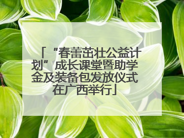 “春蕾茁壮公益计划”成长课堂暨助学金及装备包发放仪式在广西举行